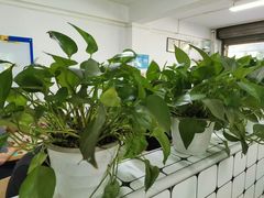 -金粿粿·牛肉粿