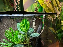 -酷嗒动物文化乐园(cutezoo西溪乐天城店)