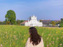 -杭州湾海上花田景区