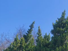 -天津东丽湖风景区