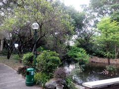 -九龙公园
