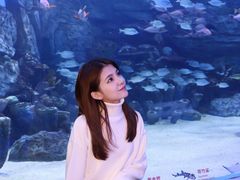 -顺德南宏海立方海洋公园
