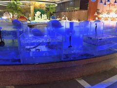 -小天鹅戴斯酒店鲸鲨百汇创作料理