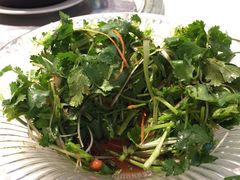 最难吃的老虎菜，坑爹的全是香菜，你妹-桂林肥仔·中华餐饮名店(园湖店)