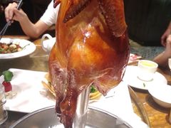 -广东道至正餐厅(区庄店)