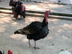 -南京金牛湖风景区