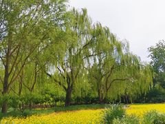 -北坞公园