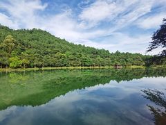 -广州白江湖森林公园