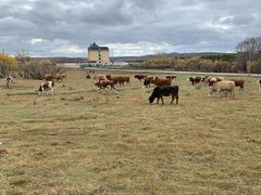 -塞罕坝国家级自然保护区