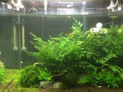 -百好乐宠物友好餐厅(朝外大街店)