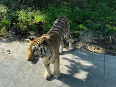 -西安秦岭野生动物园