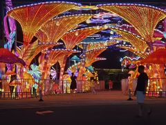 -第35届青岛国际啤酒节