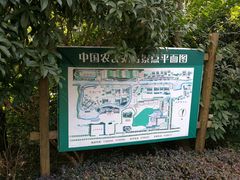 -金山农民画村-枫泾波兰倒置屋