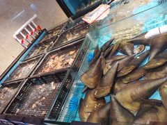 -云庭汇·粤菜海鲜(东盟盛天地店)