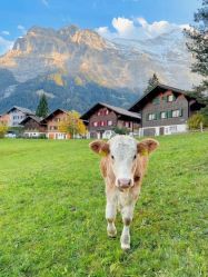 -Oasis Beauty水磨坊科技美肤中心