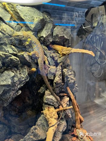 买了一大一小套票,可以来三次,这次是第二次来了