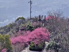 -杭州半山国家森林公园