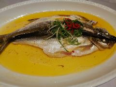 清蒸白鱼-八分饱·西津会(西津渡店)