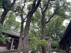 -天一阁博物院