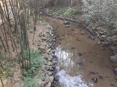 -潜山国家森林公园