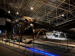 -世界恐龙谷景区