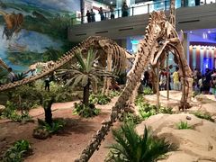 -自贡恐龙博物馆