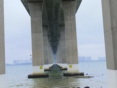 -中澳友谊花园