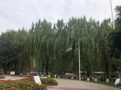 -温江公园