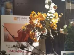 -Dragonfly悠庭·按摩Spa(新乐路店)