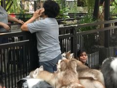 -TrueLove @ Neverland (Husky Cafe)