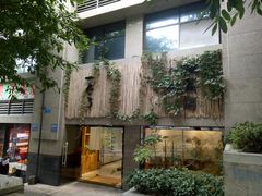 -柴务处·柴犬主题狗咖