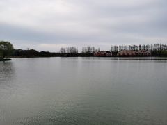 -上海长兴岛郊野公园