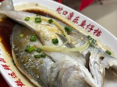 清蒸/红烧马友鱼-蛇口康乐快餐鱼仔档(翠苑小区店)