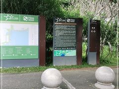 -深圳湾公园-停车场