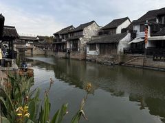 -西塘人家•黑金冠本地好店