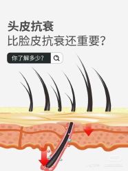 -诗碧曼养发
