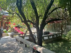 -大唐博相府酒店·陕西官府菜