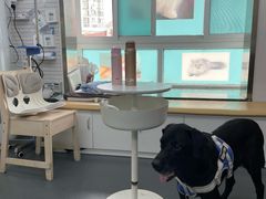 -爱侣宠医·鹦鹉专科·小型哺乳类·异宠专科(灵石路店)