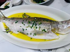 古法清蒸白鱼-二泉园老菜馆·百年无锡菜