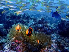 -海南分界洲岛旅游区