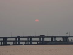 -宝安西湾红树林湿地公园