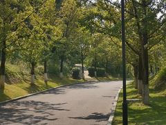 -铁山坪森林公园