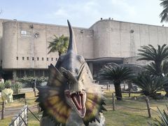 -自贡恐龙博物馆