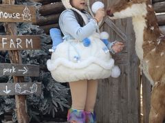 -HERRE·FARM 赫尔露营农场·团建聚会包场