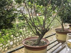 -香芙茗茶楼(梅家坞总店)