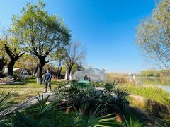 -Supine Bistro溯泮餐厅