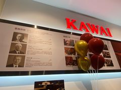 -柏斯琴行(汾阳店)