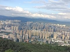 -长虫山生态公园风景林