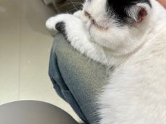 -藏猫猫咖啡主题馆(中央大道店)