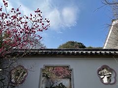 -无锡梅园公园